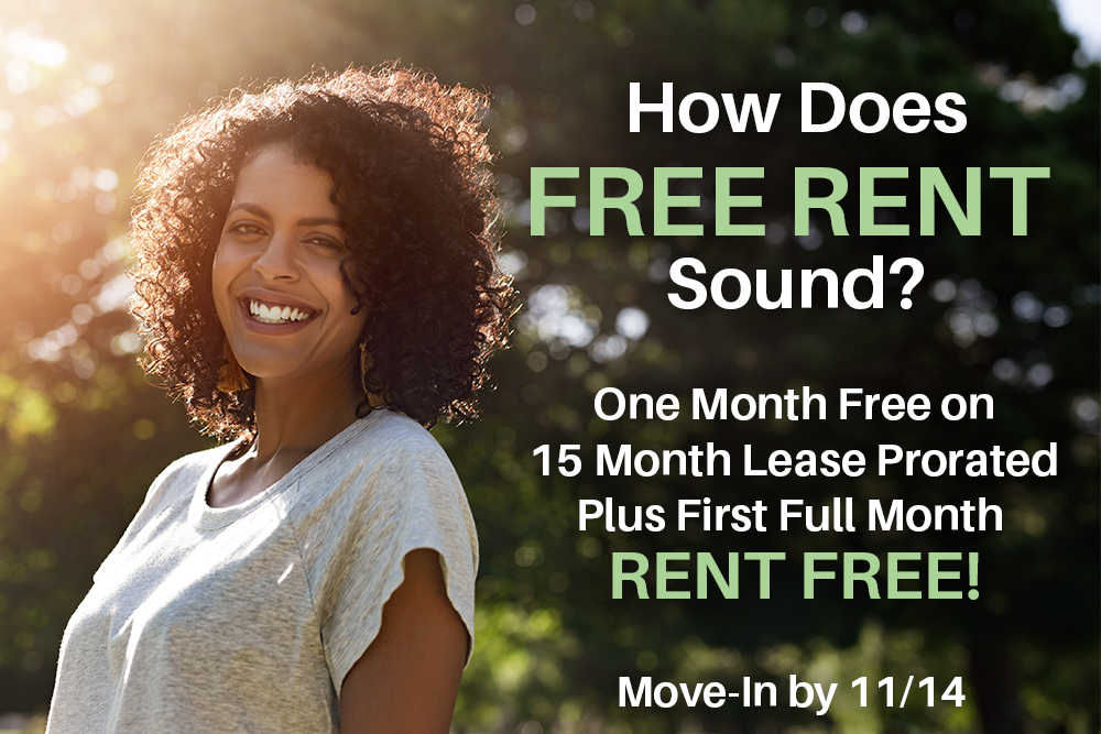 November 2025 Special